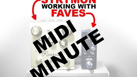 Strymon Riverside With Faves