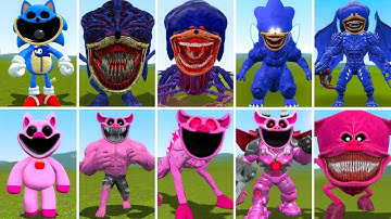 EVOLUTION OF NEW SONIC VS PICKY PIGGY SMILING CRITTERS POPPY PLAYTIME CHAPTER 3 In Garry