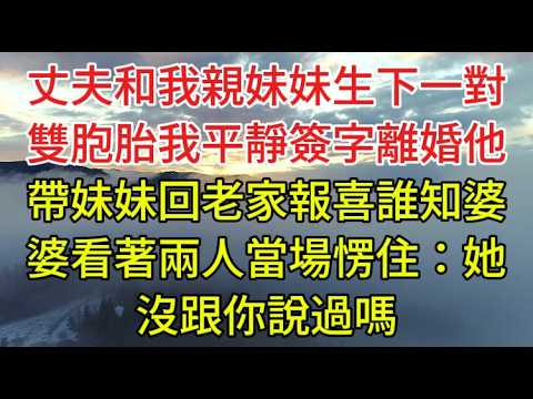 丈夫和我親妹妹生下一對雙胞胎，我平靜簽字離婚，他帶妹妹回老家報喜，誰知婆婆看著兩人當場愣住：她沒跟你說過嗎#老年故事#情感需求#養老家庭#正能量