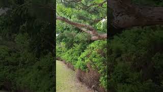 태봉산 영상