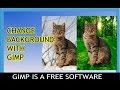 Change/Remove Background with Gimp for free