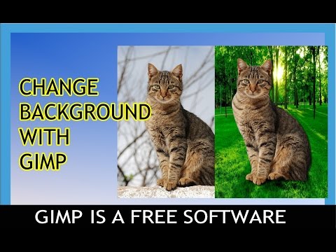 ვიდეო: როგორ შეავსოთ ფონი gimp-ში?