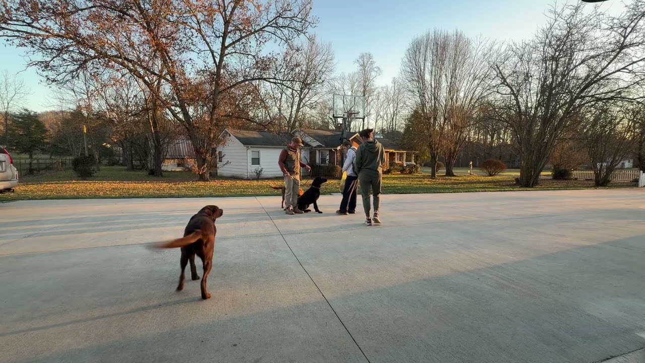 Luna Day 1- Just getting to know each other 