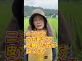 ニンニクの植え方#Shorts