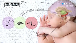 수면 중 뇌파를 조절하면 기억력이 2배 향상된다 / YTN 사이언스