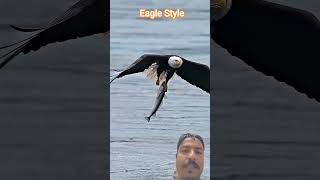 “A powerful eagle diving fast over a river and catching a fish with sharp claws#EagleCatchFish #Eagl