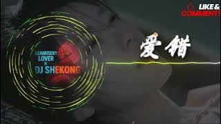 MELBOURNE BOUNCE REMIX 爱错 AI CUO ~ DJ慢摇2025_MANYAO REMIX_KENMISERY LOVER & SHEKONG