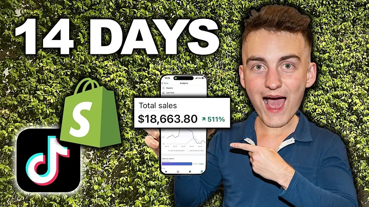 From $0 to $18,000: Shopify Dropshipping Success Story