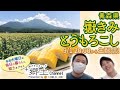 【9月1日20時〜】「嶽きみ（とうもろこし）」の甘さの秘密に迫る！