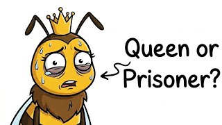 Your Life as a Queen Bee