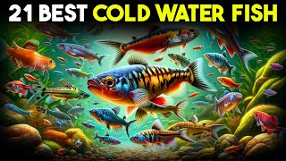 Top 21 Cold Water Fish for Your Aquarium That Wow