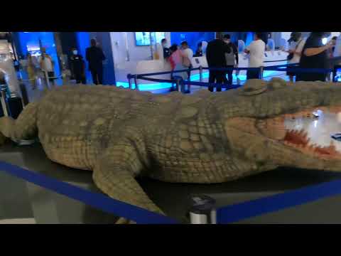 Dubai Aquarium and Underwater Zoo |  ಸಮುದ್ರದ ಒಳಗಿನ ಪ್ರಪಂಚ | World largest mall |