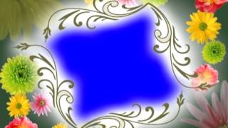 Frame Croma Flower Video Background Footage Free Download Hd