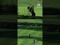 PAR?! 😵 Tiger's incredible save from the woods