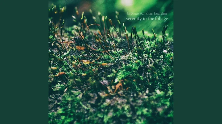 The Love Of Green (feat. Nolan Bearden)