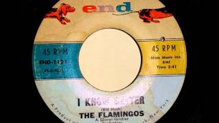 Video thumbnail of "The Flamingos I Know Better"