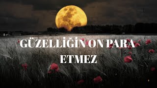 Aşik Veysel -Güzelli̇ği̇n On Para Etmez Lo-Fi Acoustic Cover