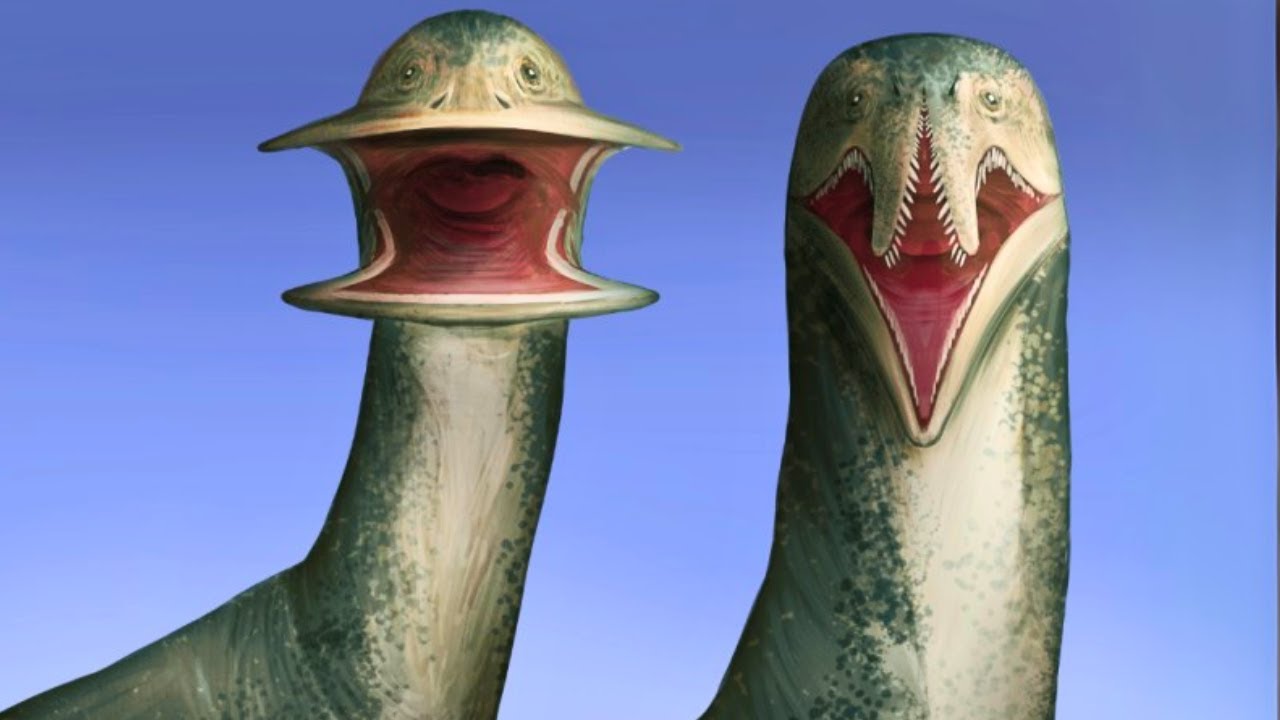 Самые Странные Рты, Обнаруженные у Животных