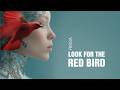 RISSA | Look for the red bird | Lyric Video