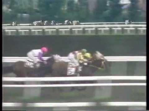 1984年札幌日経賞　公営４冠馬　サンオーイ　中央初勝利