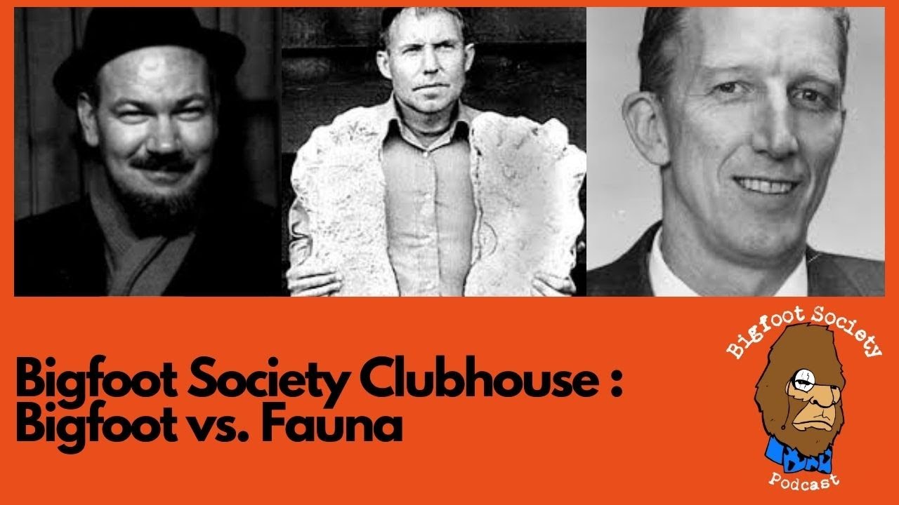 Bigfoot Society Clubhouse: Bigfoot vs  Fauna