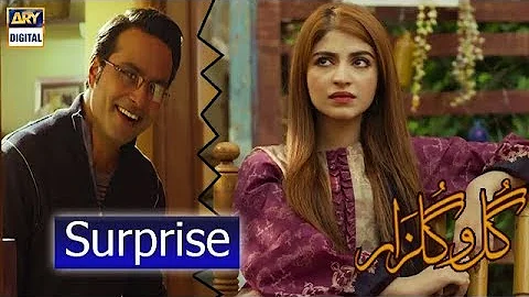 Kiya Ye Surprise Gulzar Ko Pasand Aaya | Gul O Gulzar [Best Scene] #KinzaHashmi.