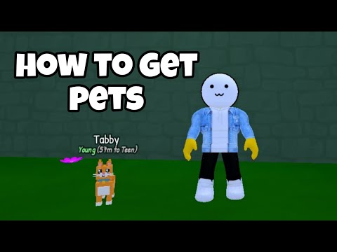 How to Get Pets in Own a Cafe Roblox | update