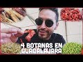 VERDURAS CON CREMA como Botana?