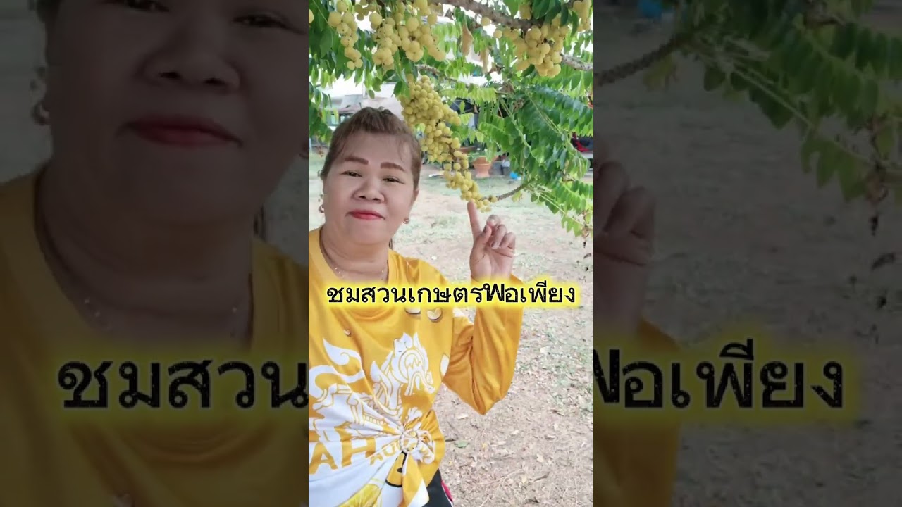 ชมสวนเกษตรพอเพียงบ้านทุ่ง