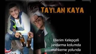 Taylan kaya