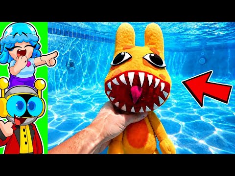 ¡ENCONTRE ANOMALÍAS PELUCHE GIGANTE EN MI PISCINA! | HOSPITAL DE ANIMALES