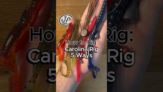 5 Ways to Rig a Carolina Rig #fishing #fishingtips #howto #bassfishing #largemouthbass