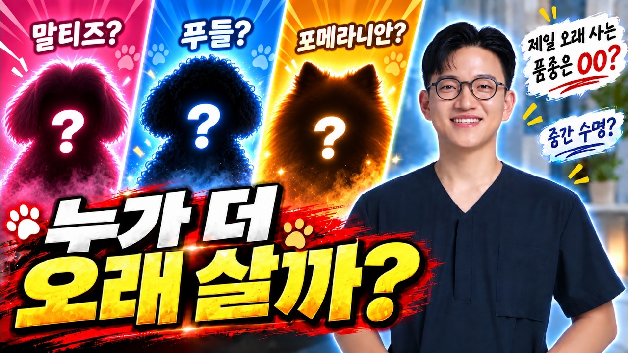 말티즈, 푸들, 포메, 누가 더 오래 살까? 품종별 수명 비교!
