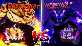 Tiger Fruit Vs Werewolf Mutation In Blox Fruits