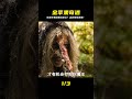 兩個男人意外吃下金色蘋果,剛剛吃完就被美女抓到山洞當老公 #電影 #動作 #懸疑 #劇情 #電影解說