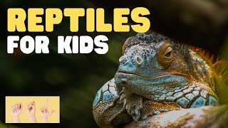 ASL Reptiles for Kids