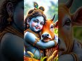 വളരെ അപൂർവമായി കാണാറുള്ള കായാമ്പൂവു ചെടി...ഹരേ കൃഷ്ണ 🙏🏻#krishnadevotee #guruvayoordevoteesonline