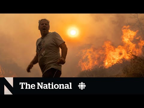 Greek wildfires damage tourism, homes and businesses