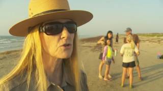 The Texas Bucket List Summer Stops - Kemp's Ridley Sea Turtle Release
