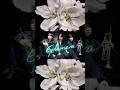 【トランペット三重奏】Bunte Talentvielfalt 6th Single「Ephemera」 #Shorts