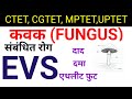 कवक|| FUNGUS||फंगस सम्बन्धित रोग #EVS #science#CgTeacher bharti 2025#पर्यावरण#shikshakbharti