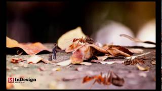 tiny photo manipulation screenshot 5