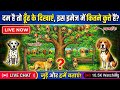 🔥 महा-मुकाबला: कुत्तों को ढूँढने की सबसे बड़ी चुनौती! #LiveStream🐕