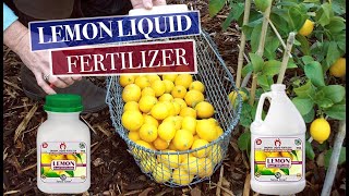 Sansar Green Lemon Liquid Fertilizer Super Powerful Fertilizer for the Best Growth of Citrus Plants