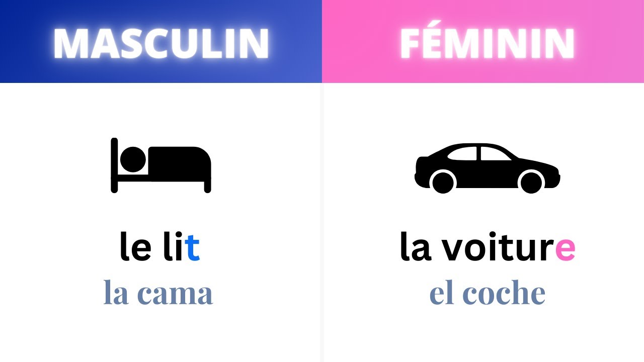 🤔 ¿Cómo Saber Si Es Femenino O Masculino En Francés? - YouTube