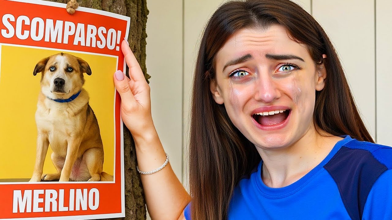 IL MIO CANE È SCOMPARSO!!!*AIUTATEMI A RITROVARLO!* INSIDE OUT NELLA VITA REALE