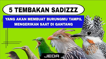 MASTERAN FULL TEMBAKAN RAPAT JERNIH MEWAH - MASTERAN KOMBINASI TEMBAKAN RAPAT JERNIH JEDA - 5 IN 1