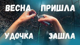 Сезон удочки 2024 открыт! Шикарная погода радует после зимы :)