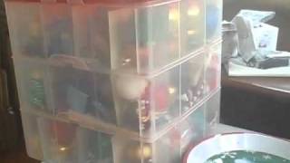 Full Organize Your Christmas Stuff News