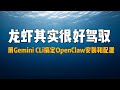 用Gemini CLi轻松搞定龙虾安装与配置 | 小白也能屈驾 OpenClaw | OpenClaw升级、切换模型、添加Skill更简单 | 用Claude Code、Codex也可以